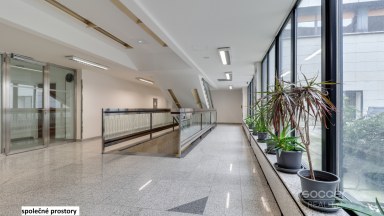 Pronájem kanceláře 33,45 m2 ulice Sokolovská